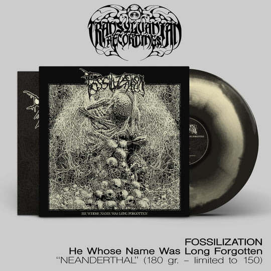 FOSSILIZATION - HE WHOSE NAME WAS LONG FORGOTTEN