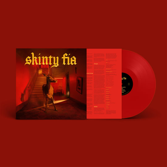 Skinty Fia | Fontaines D.C.