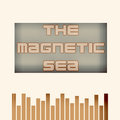The Magnetic Sea image