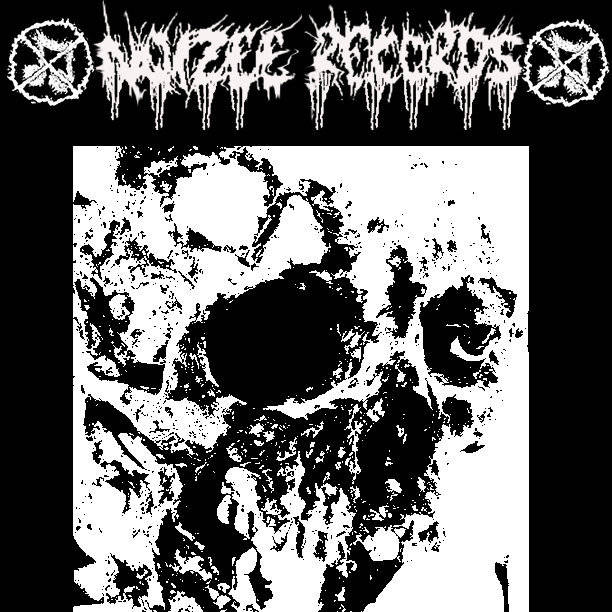 ブルデス スラミング Vulvectomy CD 3枚セット BULMA ブルマ/ LACERATED TRICHINOSIS SPLIT EP 2022 | BULMA ブルマ