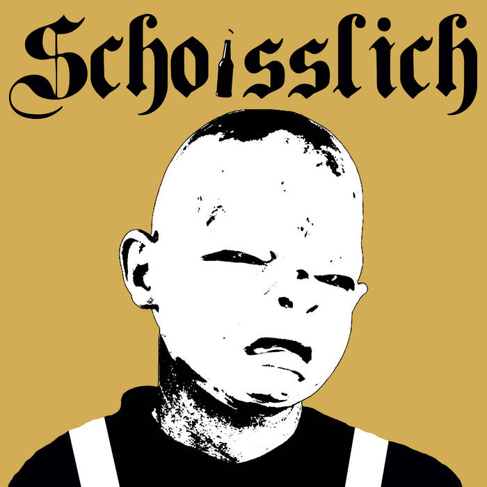 mammillaria duwei Mammillaria duwei – TiaJuanas Plants México