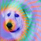 alabama_kush thumbnail