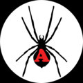 Arachnidisc image