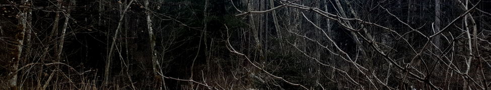 Persekutor — Photo