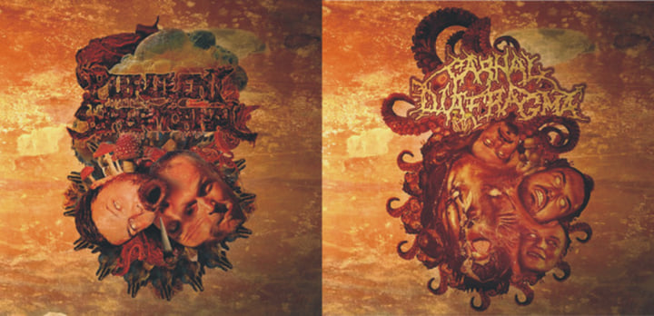 Split CD | PURULENT SPERMCANAL / CARNAL DIAFRAGMA | Bizarre Leprous