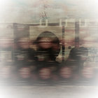 tumultua thumbnail