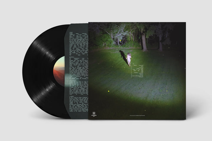 ★ Virginia Jetzt! レコード LP 送料無料】☆ Virginia Jetzt! レコード LP | 洋楽