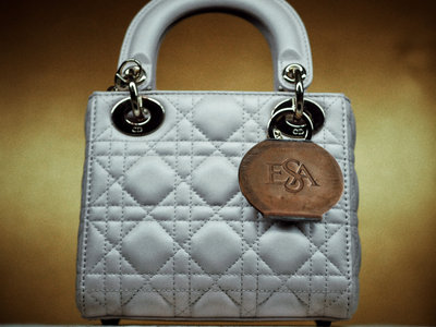 ESA Luxury Designer Bag main photo