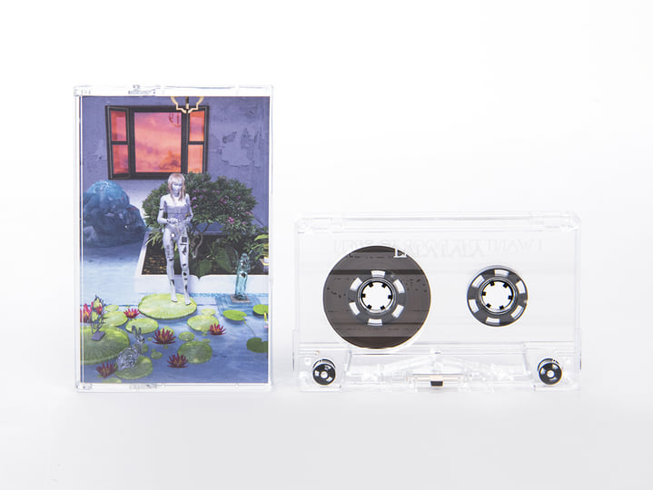 I Want The Door To Open | Lala Lala