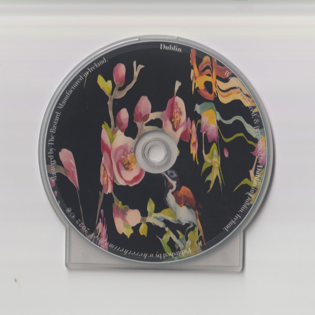 その他 Live: 01-6-00 the Point Theataer - Dublin Ireland [CD] Amazon.com: 01/6/00 - The Point Theater, Dublin, Ireland: CD 和黑