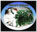 Moldy Bread image