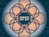 Embryo´s Reise | embryo