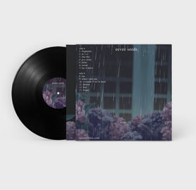 Vinyl LP, image 2