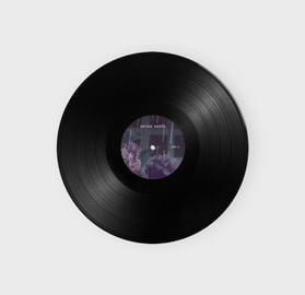 Vinyl LP, image 5