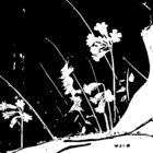 JN thumbnail