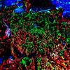 AD:PIANO IX -alt- | Diverse System