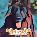 shizzle.productions image