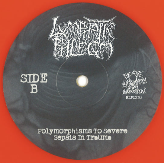 Disgusting Gore And Pathology / Polymorphisms To Severe Sepsis In