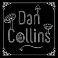 Dan Collins image