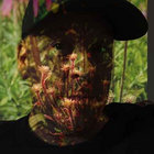 b-zig thumbnail