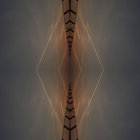 enteralight thumbnail