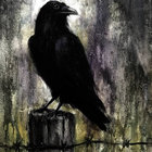 Ravenmage thumbnail