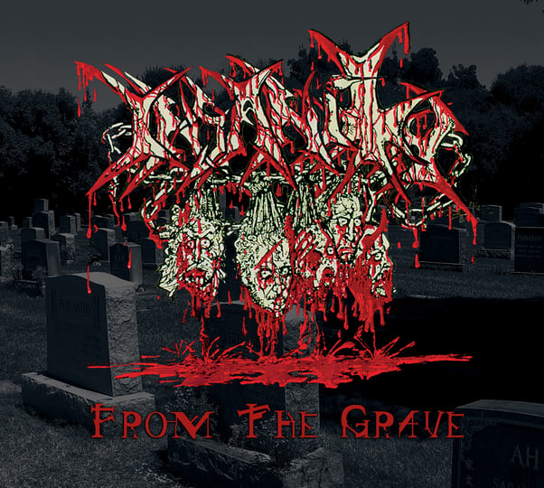 From The Grave | Insanity | INSANITY