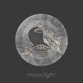 moonlight image