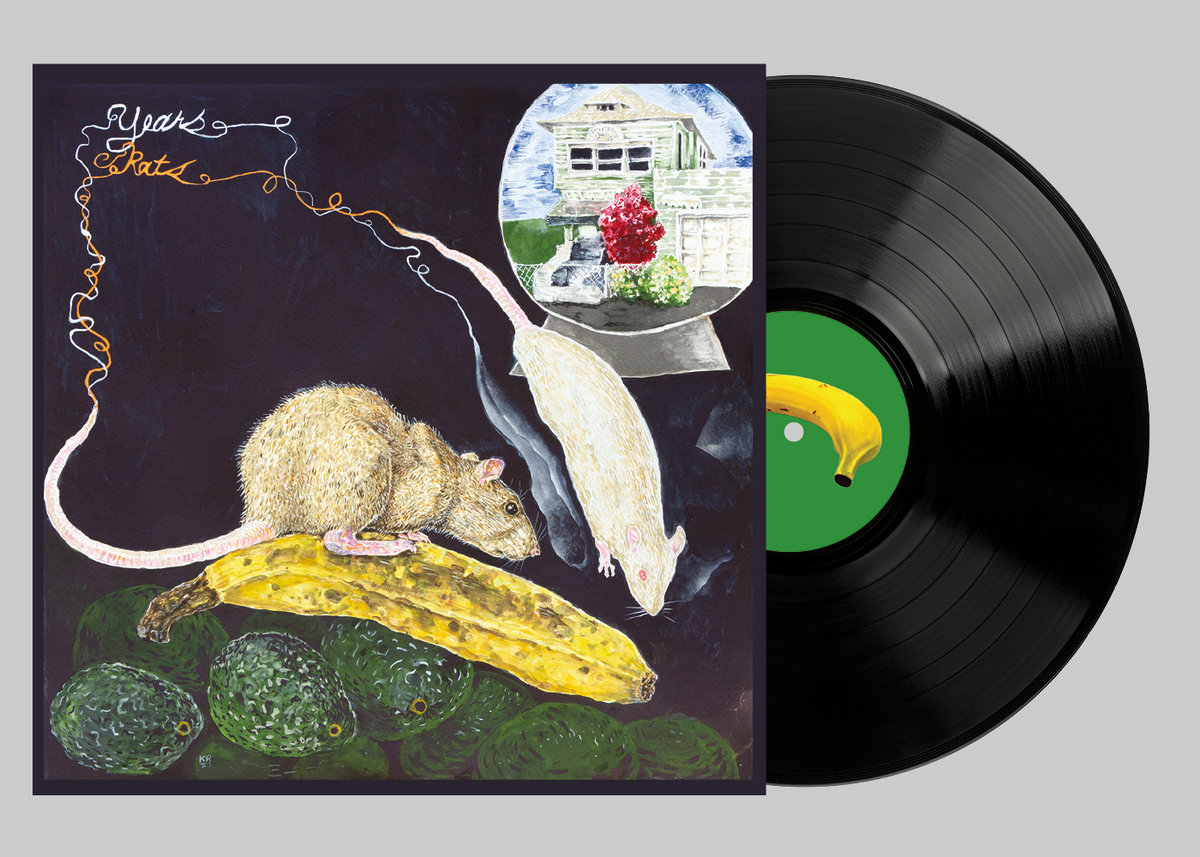 The Complete ～ History of RATS & STAR Amazon.co.jp: The Complete~History of RATS&STAR~ - シャネルズ (DVD