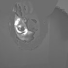 Daniella Ljungsberg thumbnail