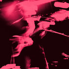 Flower | Blurred City Lights