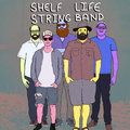 Shelf Life String Band image