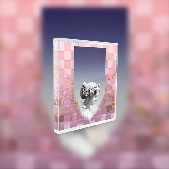 KOALA KORP コアラ | TUPPERWAVE | My Pet Flamingo
