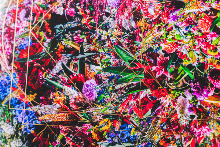 Reincarnation No.9 (IN THE NAME OF LOVE) | world's end girlfriend