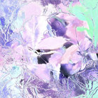 xmyri thumbnail