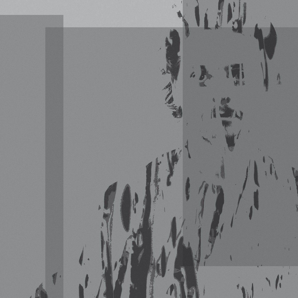 First Quartet James Kitchman