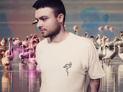 MPF | Organic Oversized Flamingo T-Shirt (Natural Raw) main photo