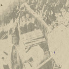 soccer Committee thumbnail