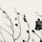 The Creative Act | Marcel Duchamp | Sub Rosa Label