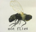 Hot Flies image
