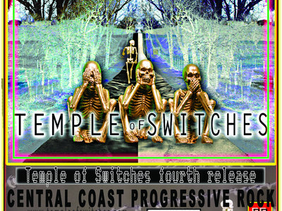 Temple of Switches IV record store window promo poster main photo