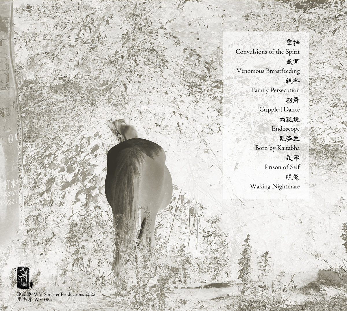 物失體Thing Loses Itself | 梁奕源Liang Yiyuan | WV Sorcerer