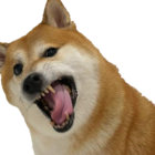 Jeteroni thumbnail