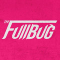the Fullbug image