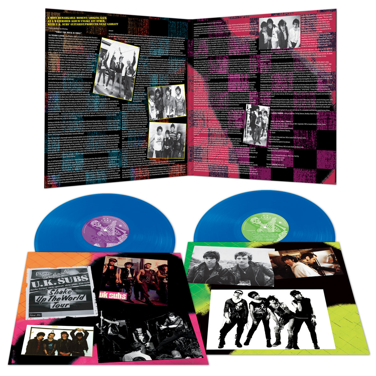 欧2discs 10” UK Subs Endangered Species UKSUBSDEM005 Demon Records /00400 U.K. Subs: Endangered Species (2 x 10″ Black Vinyl) | Demon