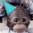 hobshabot thumbnail