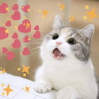 beanut_butter thumbnail