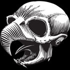 thechickenskull thumbnail