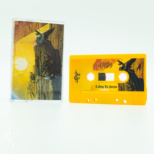 ВКонтакте желісіндегі сексуалды суреттер Балапандар бір-бірін спермен жалайды