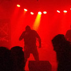 seda666 thumbnail